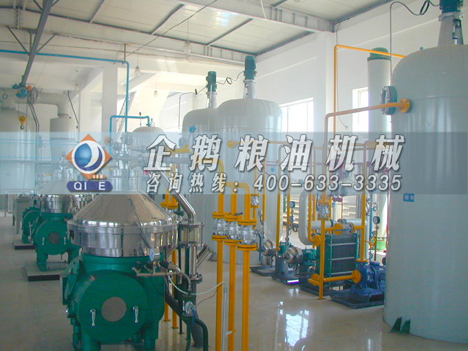 如何投資建設(shè)棕櫚油加工廠？企鵝糧油機(jī)械在線為您答疑解惑(圖2)