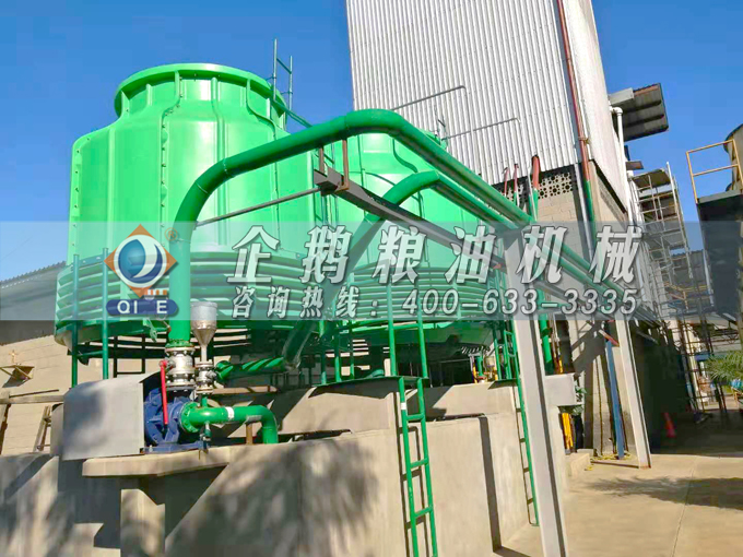 如何投資建設(shè)棕櫚油加工廠？企鵝糧油機(jī)械在線為您答疑解惑(圖3)